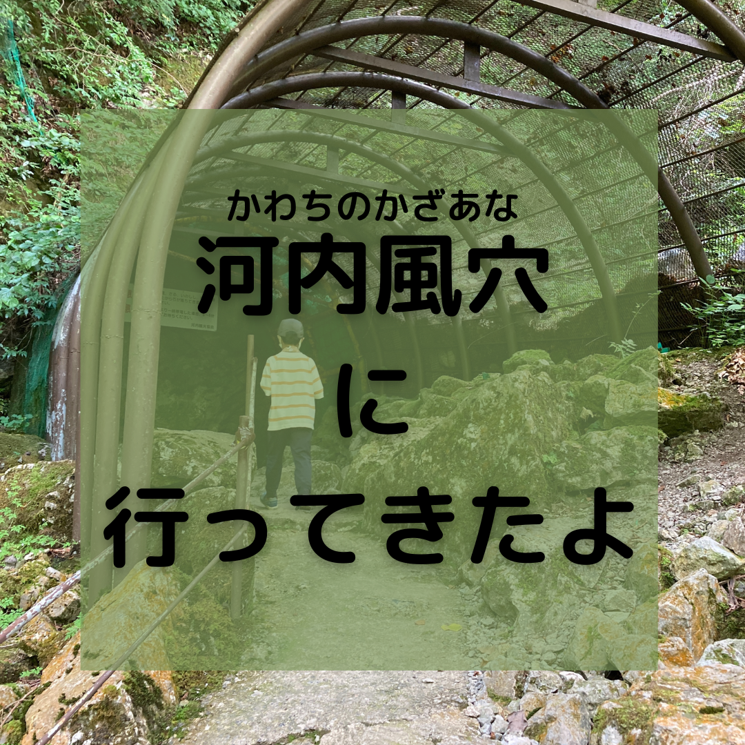 河内の風穴 神秘の鍾乳洞 滋賀県指定天然記念物 鍾乳洞 DVD 洞窟 鍾乳石