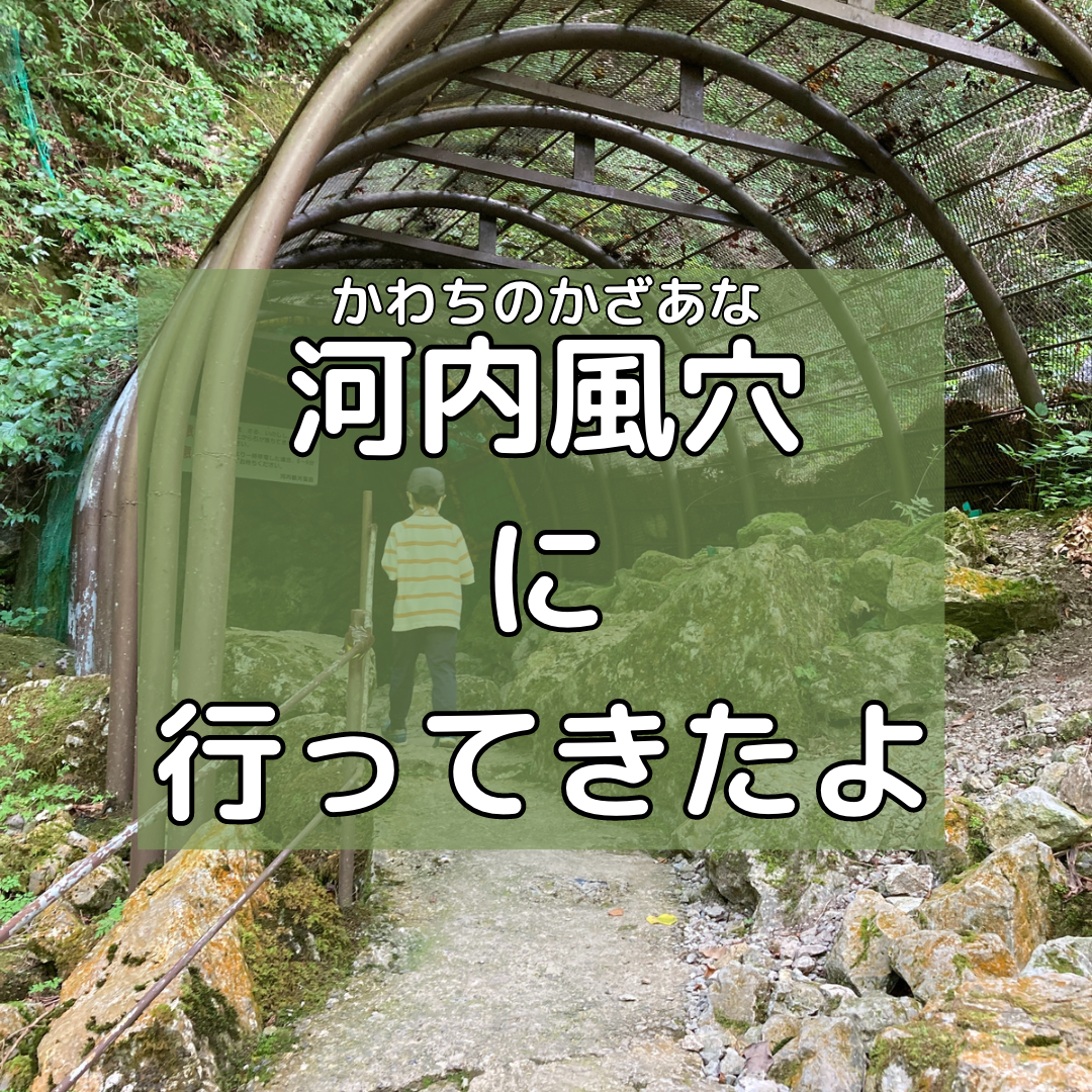 河内風穴（かわちのかざあな）に行ってきたよ！