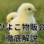 ひよこ物販会って詐欺なの？儲かるの？1円も支払わずに1週間で退会した私の体験談
