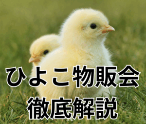ひよこ物販会って詐欺なの？儲かるの？1円も支払わずに1週間で退会した私の体験談
